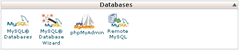 cPanel Databases Area